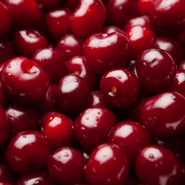 Cerezas agrias, vista de cerca — Foto de Stock