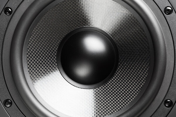 Loudspeaker, closeup view