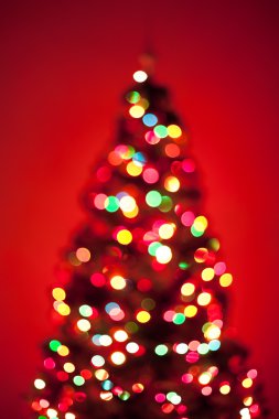 Noel Ağacı Işıkları