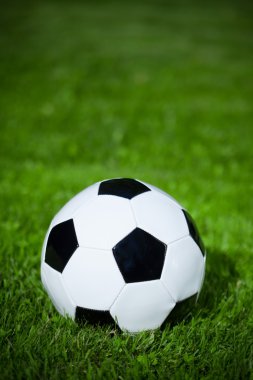 Çimlerin üzerinde futbol topu