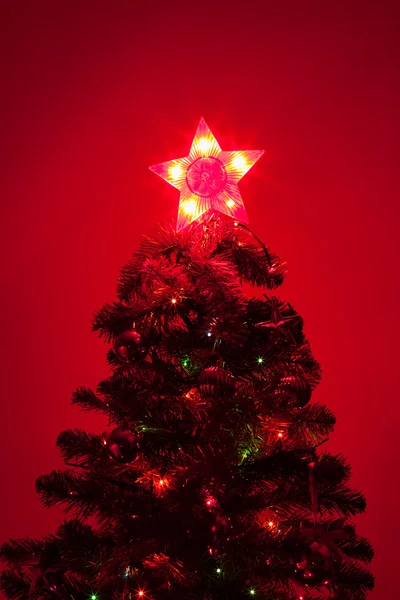 Árvore de natal com luz de estrela — Fotografia de Stock