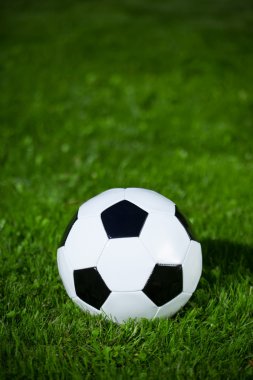 Çimlerin üzerinde futbol topu