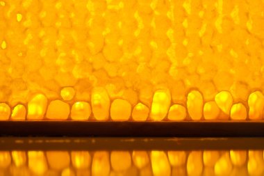 doğal petek dokusu, makro görünümü