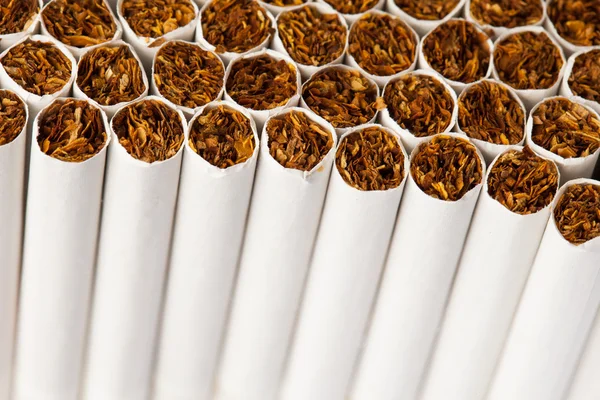 Ligne de production de cigarettes — Photo