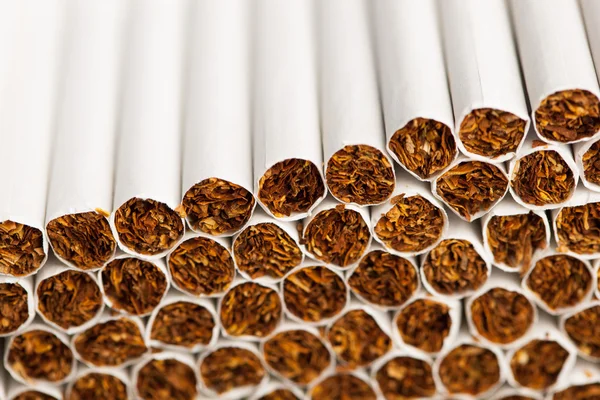 Ligne de production de cigarettes — Photo