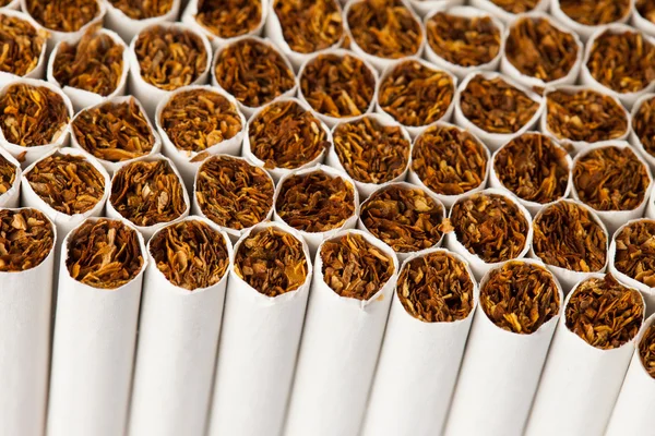 Ligne de production de cigarettes — Photo