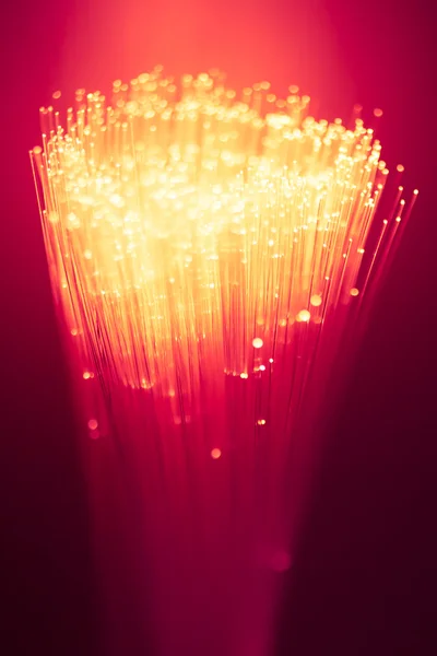 Fiber optics bos — Stockfoto