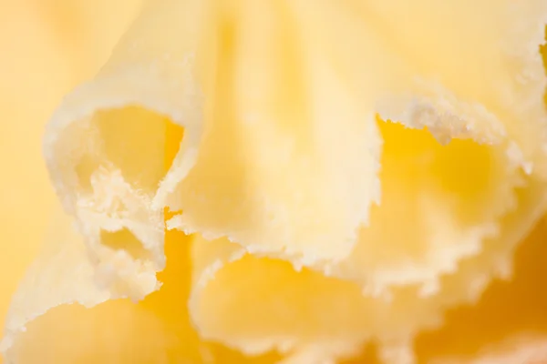 Швейцарський сир розетка — стокове фото