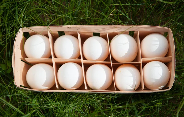 Huevos en una canasta de mimbre, fondo de hierba verde — Foto de Stock