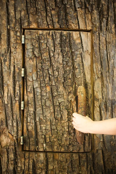 Mano aprendo la porta sull'albero — Foto Stock