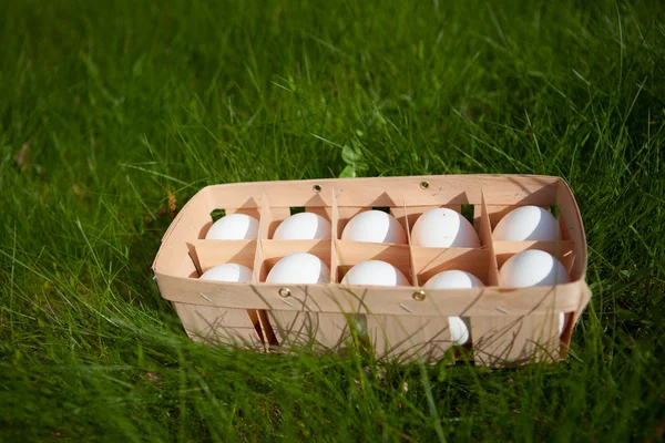 Huevos en una canasta de mimbre, fondo de hierba verde — Foto de Stock