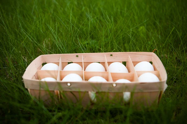 Huevos en una cesta de mimbre — Foto de Stock