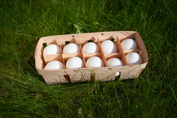 Huevos en una canasta de mimbre, fondo de hierba verde — Foto de Stock