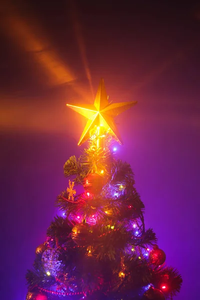 Árvore Natal Com Estrela Brilhante — Fotografia de Stock