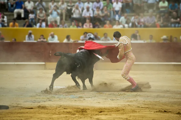 Bullfighting. — Stock Photo, Image