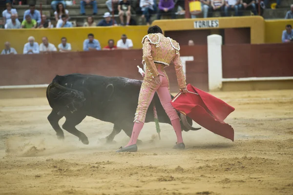 Touradas . — Fotografia de Stock