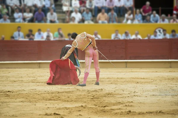 Bullfighting. — Stock Photo, Image