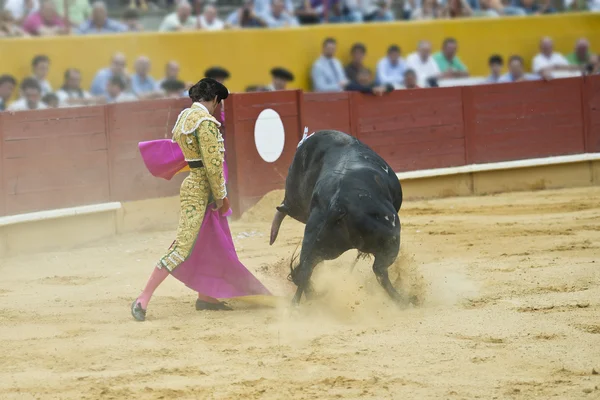 Bullfighting. — Stock Photo, Image