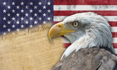 Amerikan bayrağı ve kel kartal