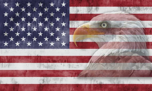 Amerikan bayrağı ve vatansever sembolleri