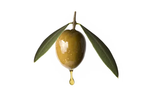 Oliva verde con una gota de aceite cayendo . Imágenes de stock libres de derechos