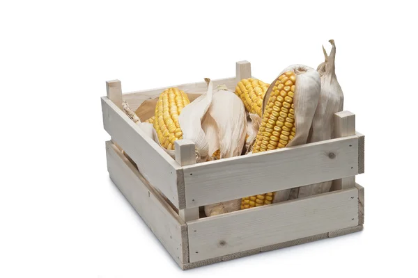 Caixa de madeira com espigas de milho — Fotografia de Stock