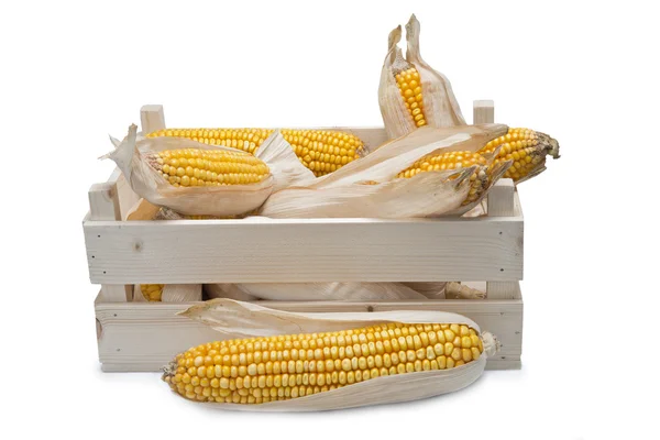 Wooden crate with corn ears — Stock Photo, Image