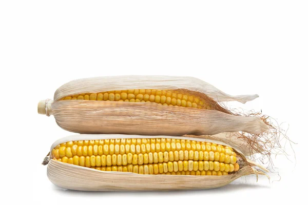 Hojas de maíz sobre fondo blanco —  Fotos de Stock