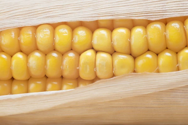 Primer plano de una mazorca de maíz —  Fotos de Stock