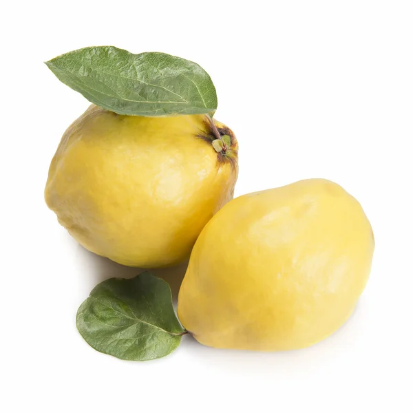 Fresh quinces isolated over white background — Stock Photo, Image