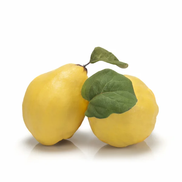 Fresh quinces isolated over white background — Stock Photo, Image