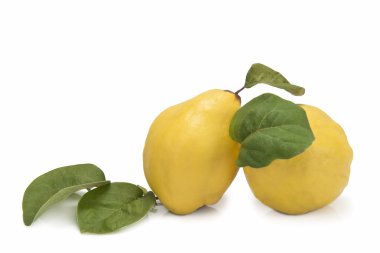 taze ayvaları beyaz arka plan üzerinde izole