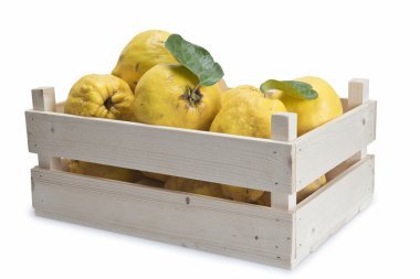 Crate with quinces