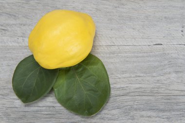 Ayvaları ahşap üzerine