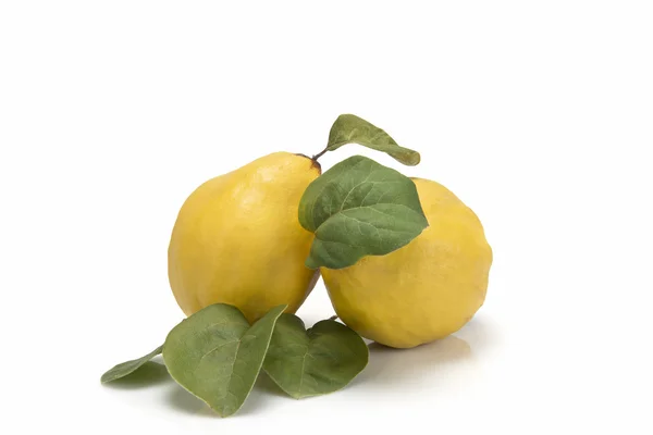 Fresh quinces isolated over white background — Stock Photo, Image