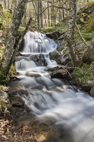 Paisaje con un río de montaña y cascadas — Foto de Stock