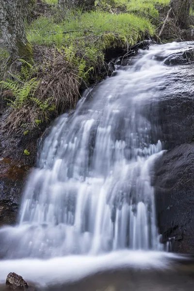Paisagem com um rio de montanha e cachoeiras — Fotografia de Stock