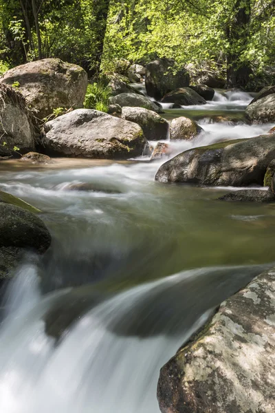 Paisagem com um rio de montanha e cachoeiras — Fotografia de Stock