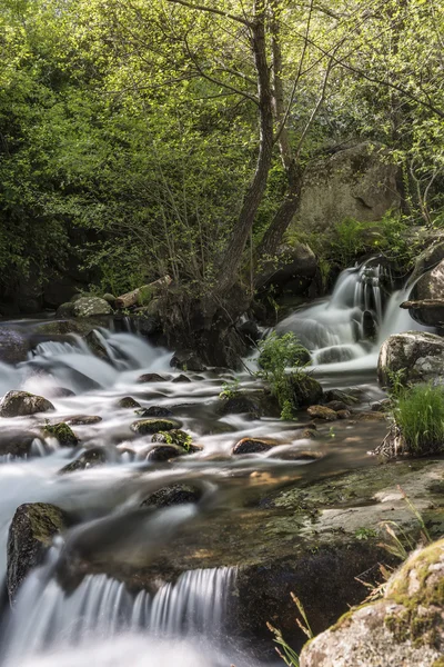 Bergrivier met watervallen — Stockfoto