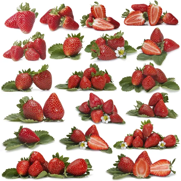 Great set of photographs of strawberries — Stock Photo, Image