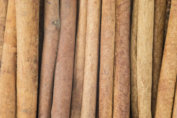 Cinnamon texture — Stock Photo, Image