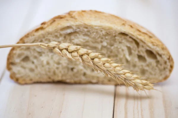 Pan de trigo — Foto de Stock