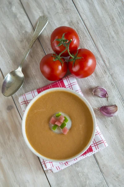 Minestra Gazpacho — Foto Stock