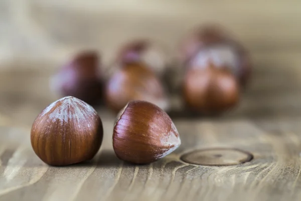 Hazelnuts — Stock Photo, Image