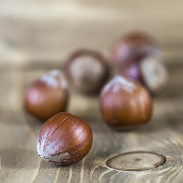 Hasselnötter — Stockfoto