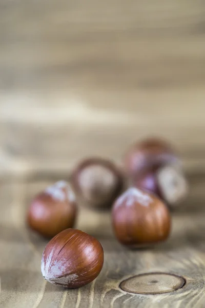 Hazelnuts — Stock fotografie