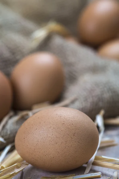 Eggs — Stock Photo, Image