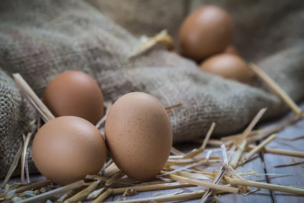 Ägg — Stockfoto