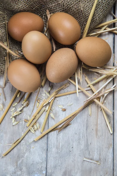 Ägg — Stockfoto