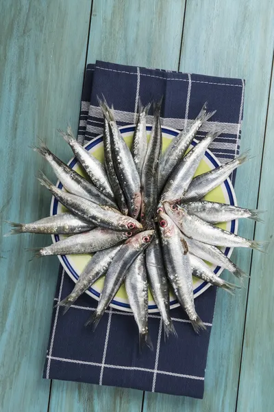 Sardines — Stock Photo, Image